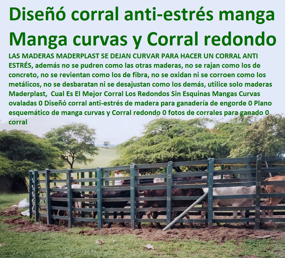 Cual Es El Mejor Corral Los Redondos Sin Esquinas Mangas Curvas ovaladas 0 Diseñó corral anti-estrés de madera para ganadería de engorde 0 Plano esquemático de manga curvas y Corral redondo 0 fotos de corrales para ganado 0 corral Cual Es El Mejor Corral Los Redondos Sin Esquinas Mangas Curvas ovaladas 0 Diseñó corral anti-estrés de madera para ganadería de engorde 0 Plano esquemático de manga curvas y Corral redondo 0 fotos de corrales para ganado 0 Mangas De Coleo, Corral Caballerizas, Pesebreras De Caballos, Plaza Toros, Brete Ganadero, Apretaderos Embarcaderos, Postes Tablas, Polines Varetas, Horcones Madera Plástica, Corrales, Establos De Ganado, corral